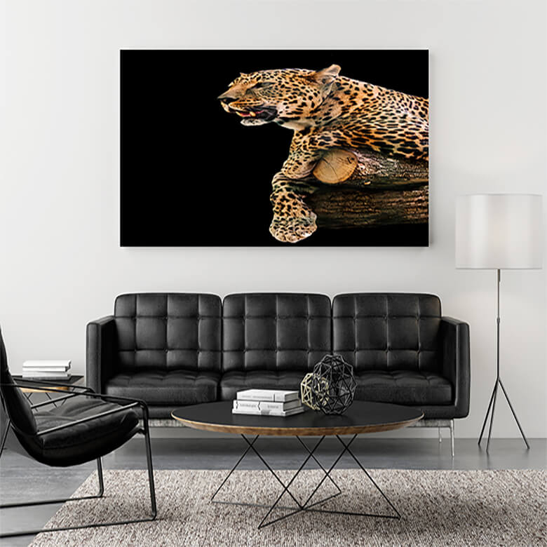 M1 Mockup 0010 Mockup 0030 22488550 animal portrait leopard AOAY1213
