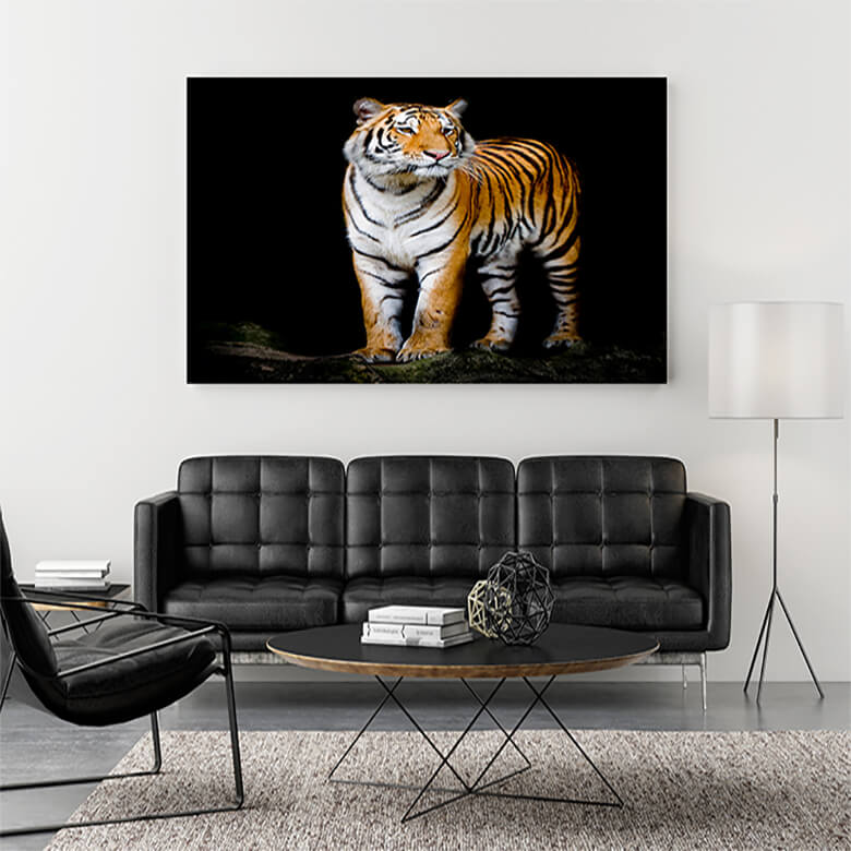 M1 Mockup 0011 Mockup 0003 15843538 bengal tiger AOAY1202