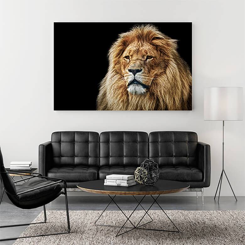 M1 Mockup 0028 Mockup 0015 9799376 lion portrait with rich mane on black AOAY1182