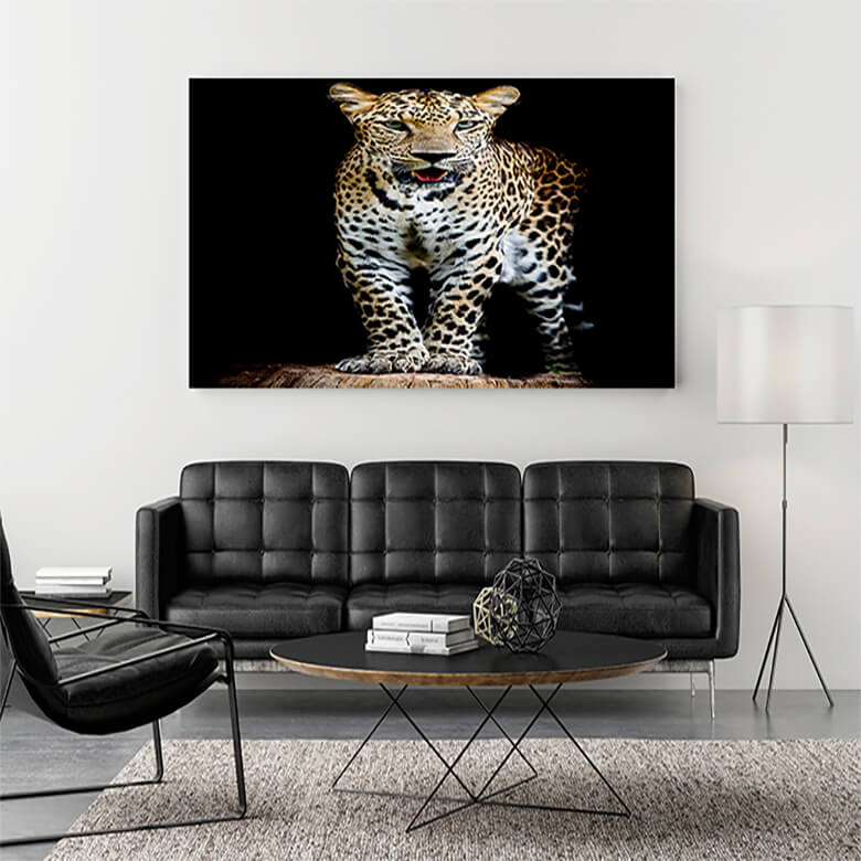 M1 Mockup 0029 Mockup 0007 15742420 close up leopard portrait AOAY1198
