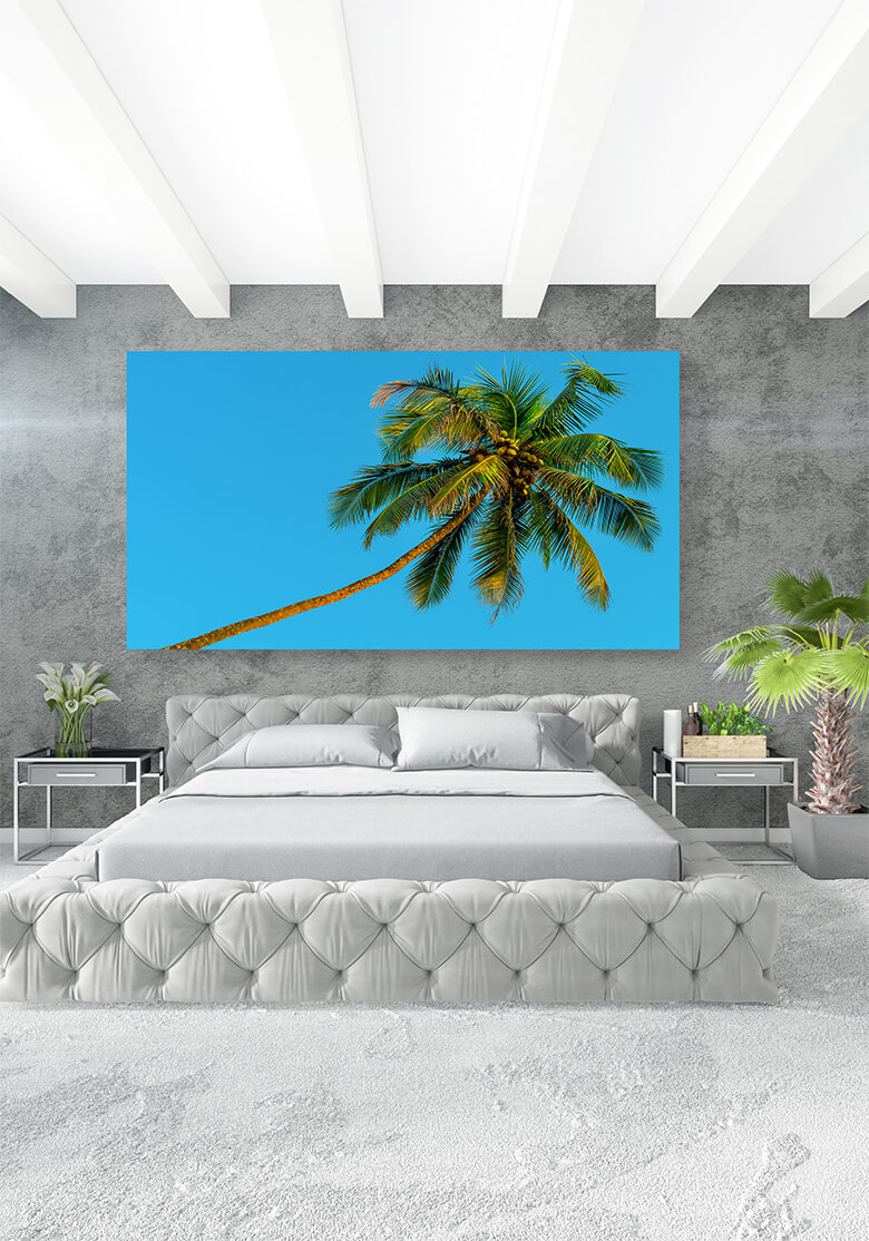 M1 Mockups 0000 Mockups Panoramic 0026 15834970 horizontal shot green coconut palms and blue sky AOAY1372
