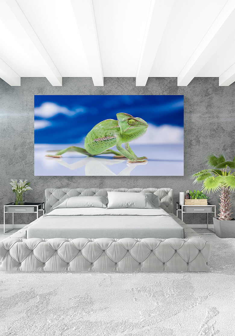 M1 Mockups 0013 Mockups Panoramic 0024 16820974 chameleon on the blue sky bright vivid exotic climate AOAY1374