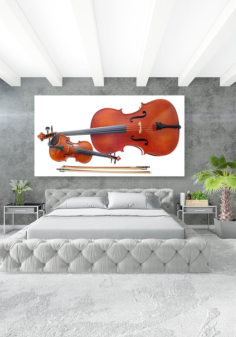 M1 Mockups 0016 Mockups Panoramic 0039 4645120 violin and cello AOAY1345