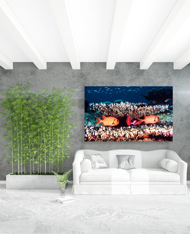 M1 0004 M Mockups 0032 13056984 beautiful underwater background AOAY1144