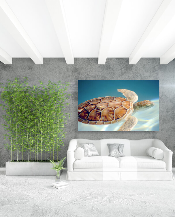 M1 0015 M Mockups 0038 4939796 carey turtle motion blur swuimming underwater AOAY1137