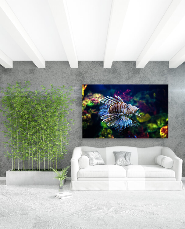 M1 0016 M Mockups 0039 4879050 underwater view fish coral reef AOAY1136