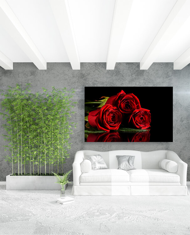M1 0021 M Mockups 0007 1600934 three red roses AOAY1163