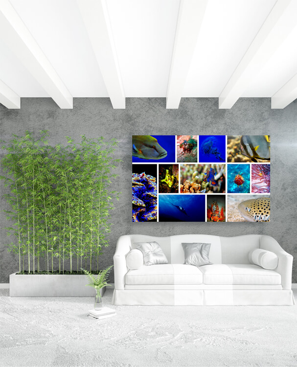 M1 0022 M Mockups 0006 2045277 underwater AOAY1124