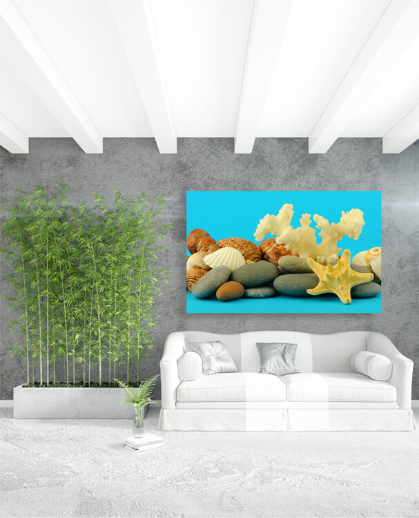 M1 0024 M Mockups 0004 2128873 starfish and set of objects of the sea underwater world AOAY1128