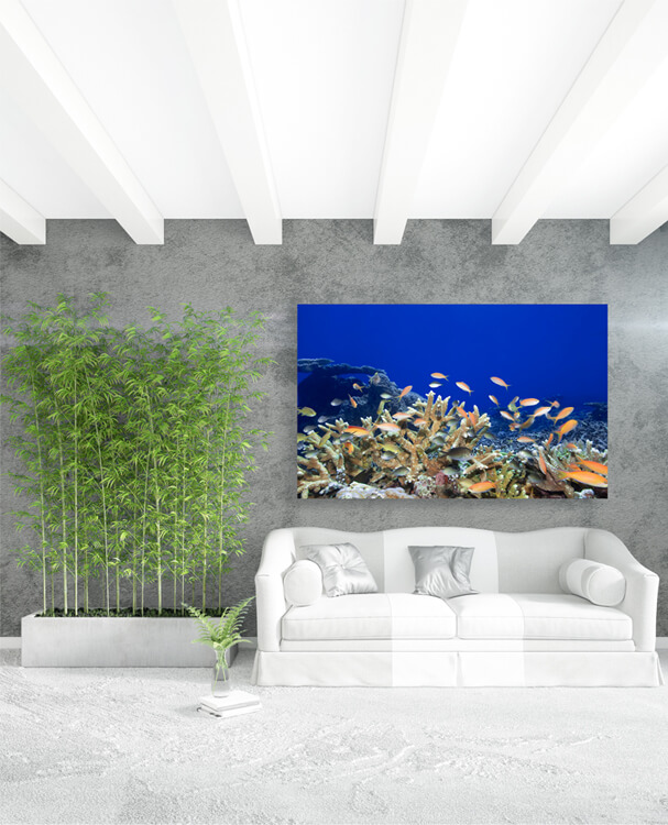 M1 0031 M Mockups 0014 259879 underwater landscape AOAY1117