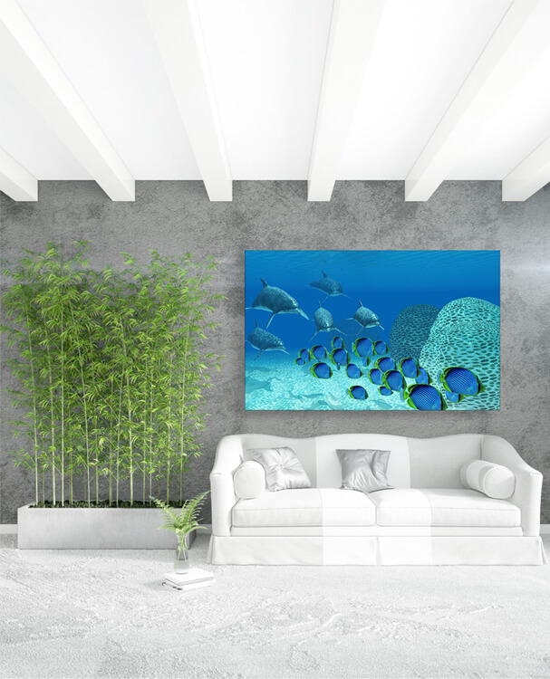 M1 0039 M Mockups 0022 23683272 bottlenose dolphins underwater AOAY1154