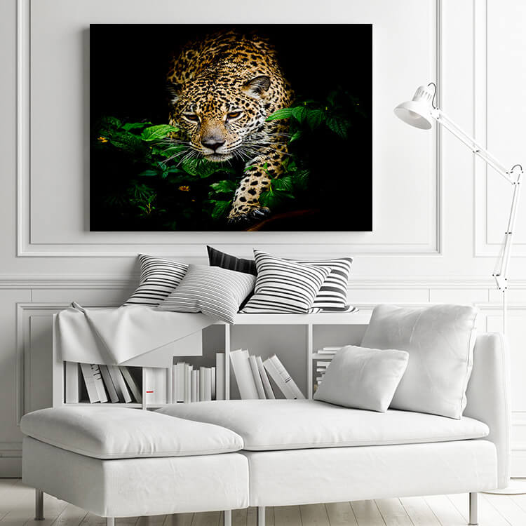 M2_0002_M__0017_PANORAMIC_0021_15722142_close-up-jaguar-portrait _AOAY1194