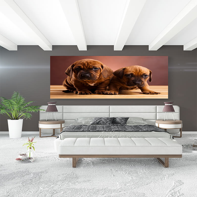 M2 Mockup 0007 Mockup 0001 17166554 dog beautiful bright pet concept AOAY1204