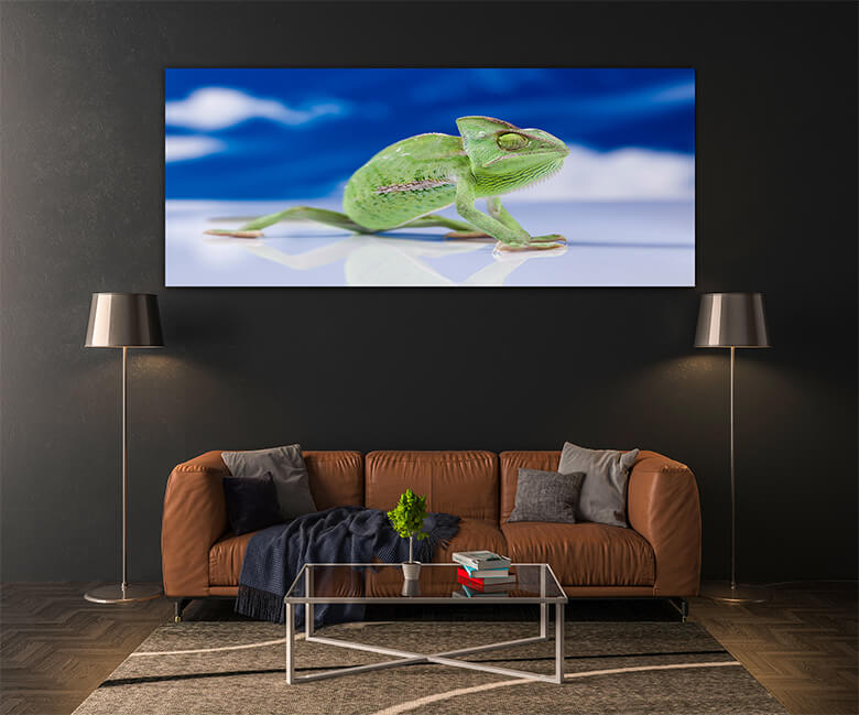 M2 Mockup 0032 Mockups Panoramic 0024 16820974 chameleon on the blue sky bright vivid exotic climate AOAY1374