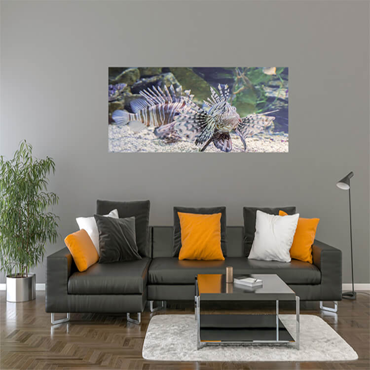 M2 0003 M Mockups 0016 27179700 lionfish marine life underwater animal portrait of a dangerous fish AOAY1160