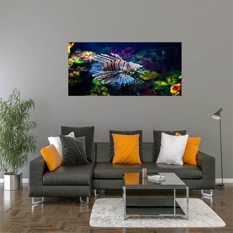 M2 0004 M Mockups 0039 4879050 underwater view fish coral reef AOAY1136