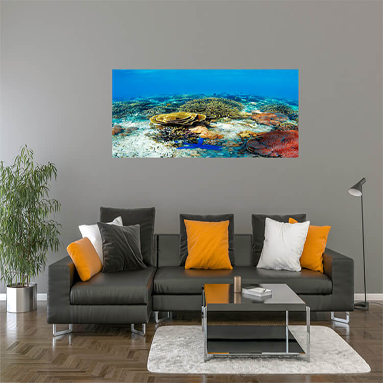 M2 0012 M Mockups 0030 14082552 underwater landscape AOAY1145