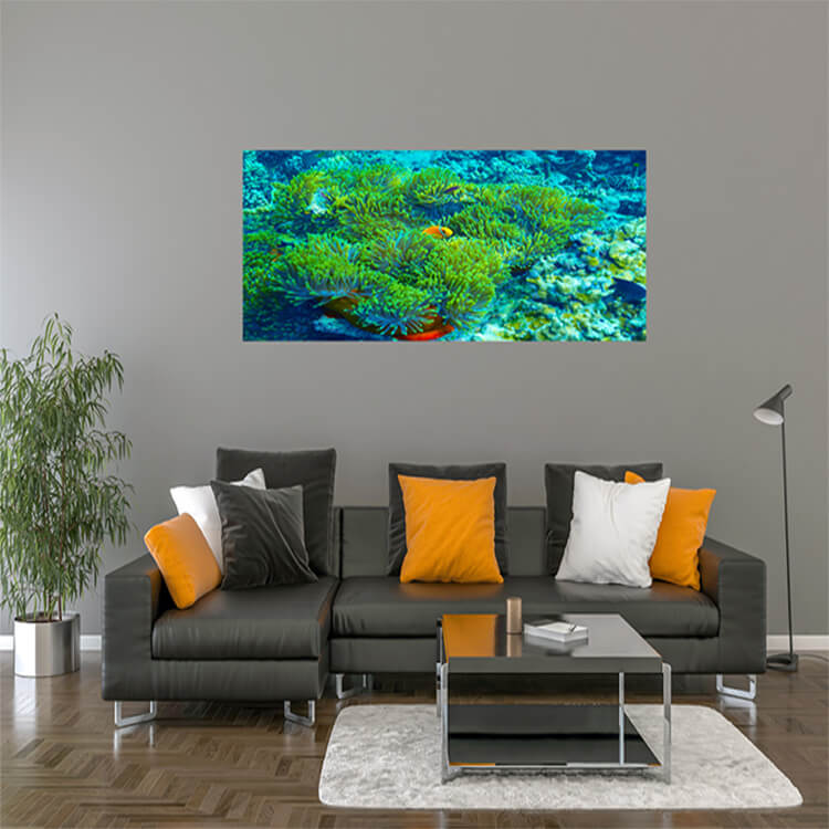 M2 0013 M Mockups 0029 14218744 coral reef underwater background AOAY1146