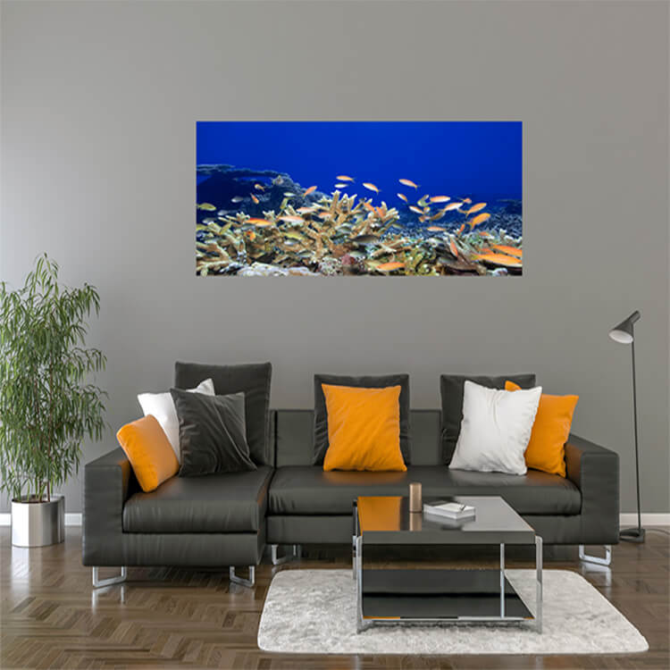M2 0018 M Mockups 0014 259879 underwater landscape AOAY1117