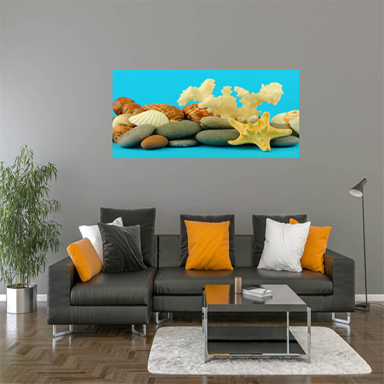 M2 0028 M Mockups 0004 2128873 starfish and set of objects of the sea underwater world AOAY1128