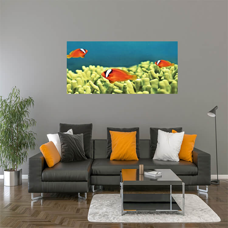 M2 0030 M Mockups 0002 4738254 the underwater world of fish and plants AOAY1132