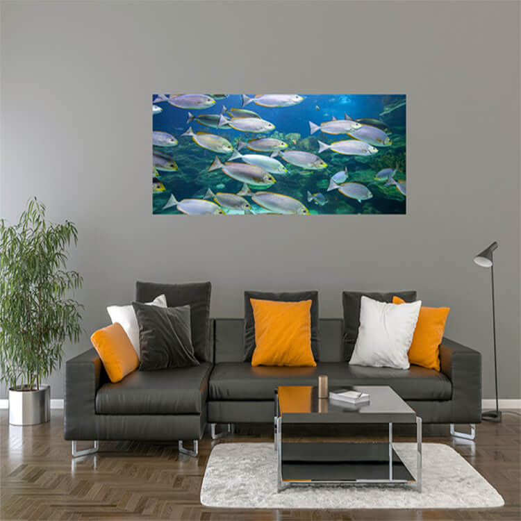 M2 0038 M Mockups 0018 26658990 tropical fish underwater AOAY1158