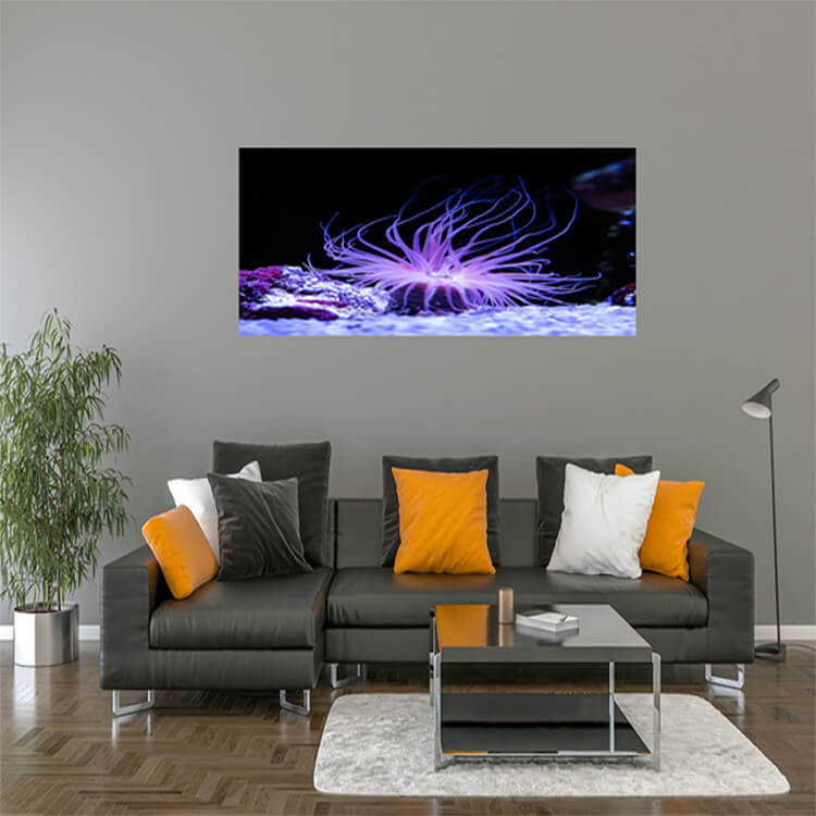 M2 0039 M Mockups 0017 27166404 beautiful sea anemone lighting up in purple blue and pink plant AOAY1159