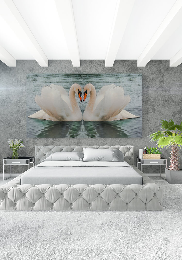 M3 0000 TTT1 0012 384142 swans in love AOAY1485