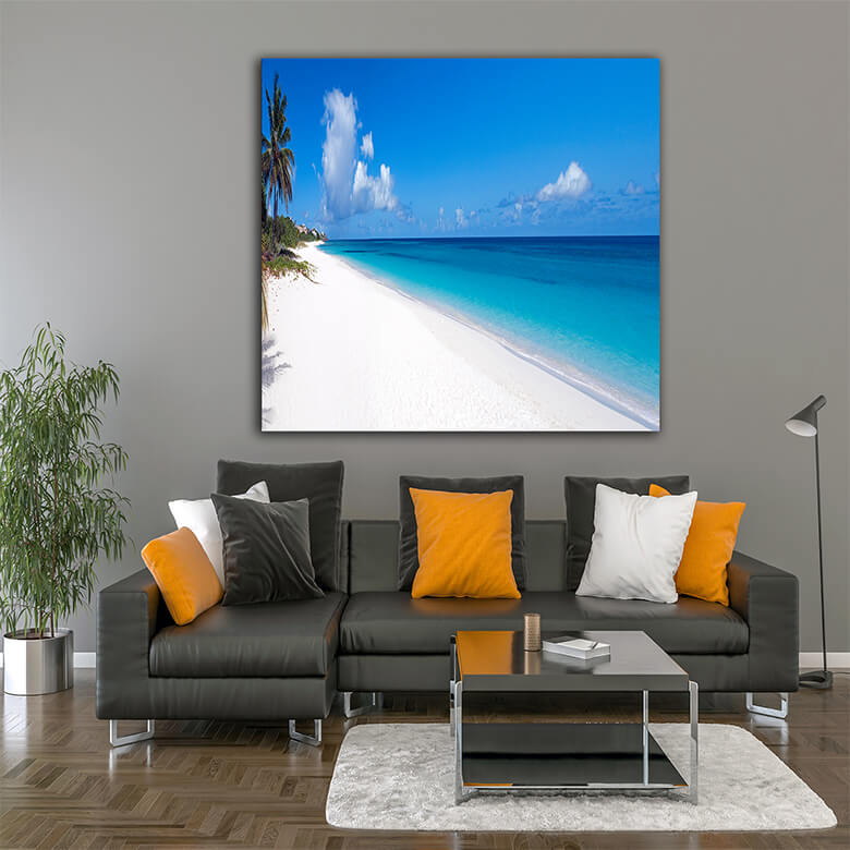 M3 0021 PP1 0006 3045131 caribbean beach AOAY1492