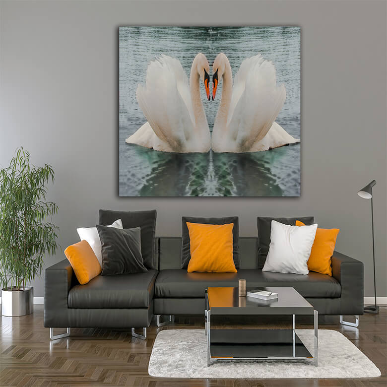 M3 0030 PP1 0012 384142 swans in love AOAY1485