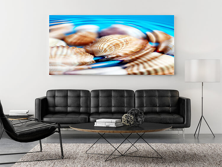 M3 0045 Mockups Panoramic 0038 1567155 underwater shells AOAY1330