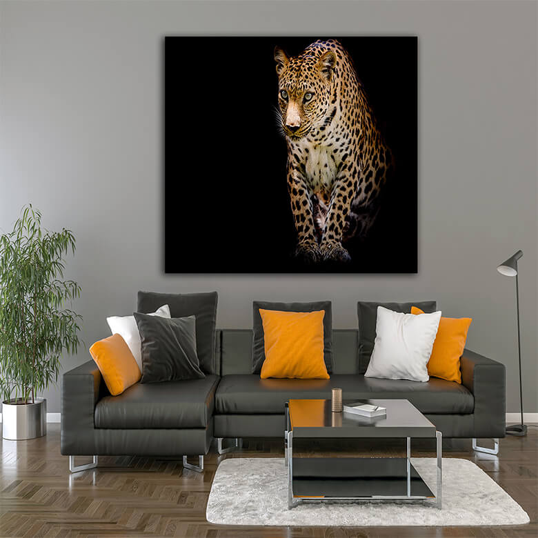 M3 Mockups 0016 Mockup 0031 22335418 leopard portrait isolate AOAY1212