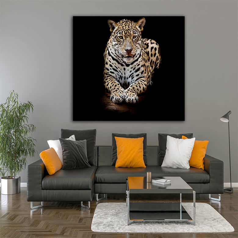 M3 Mockups 0020 Mockup 0004 15751190 leopard portrait AOAY1201