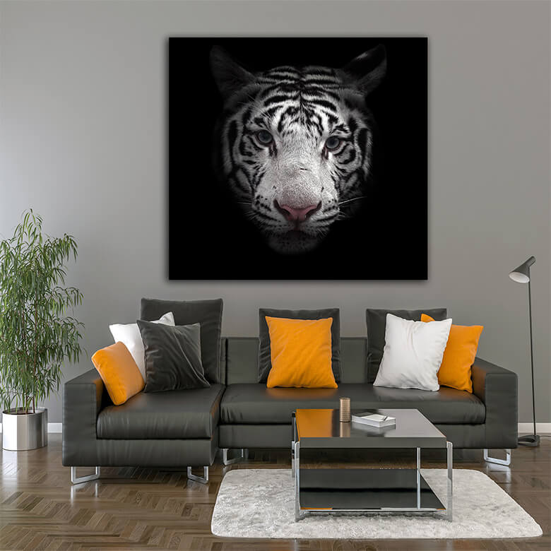 M3 Mockups 0023 Mockup 0008 14473694 white bengal tiger face AOAY1189