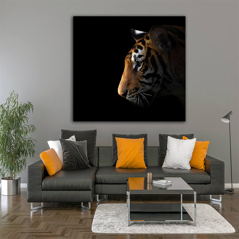 M3 Mockups 0026 Mockup 0010 14473630 bengal tiger in the dark AOAY1187