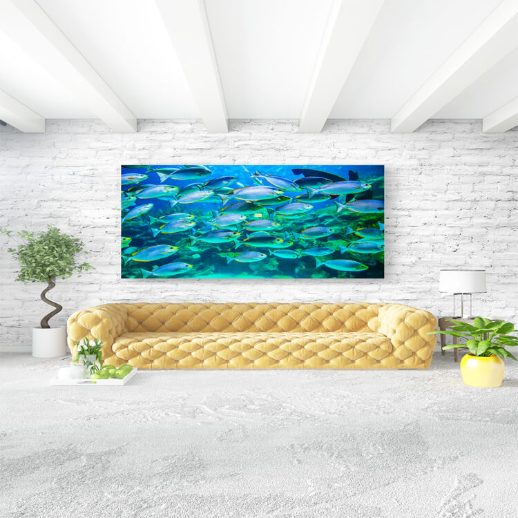 M3 0003 M Mockups 0020 25376234 school of fish underwater AOAY1156