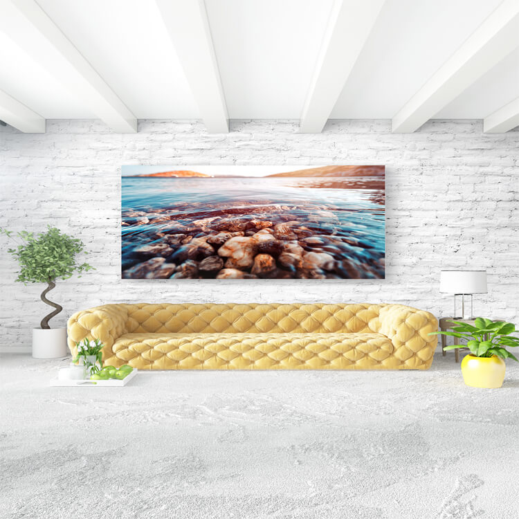 Beauty of underwater nature AOAY1157