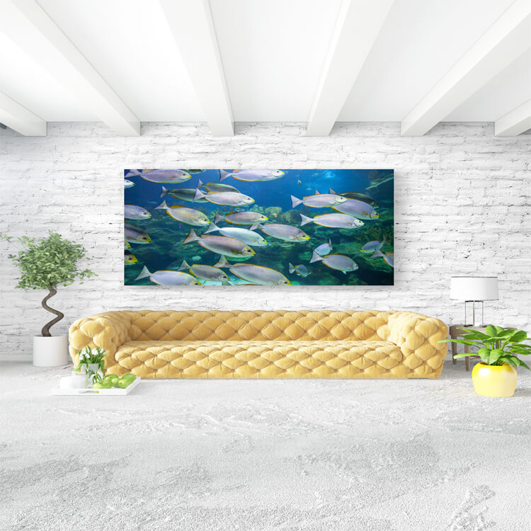 M3 0005 M Mockups 0018 26658990 tropical fish underwater AOAY1158