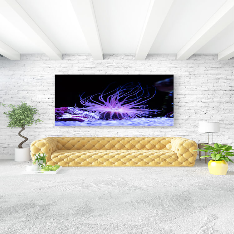 M3 0006 M Mockups 0017 27166404 beautiful sea anemone lighting up in purple blue and pink plant AOAY1159