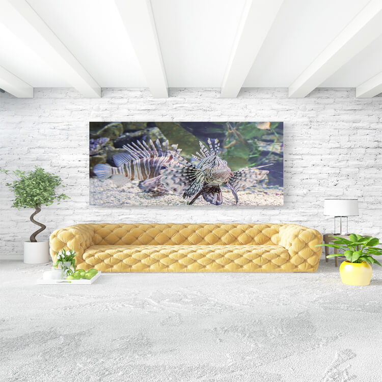 M3 0007 M Mockups 0016 27179700 lionfish marine life underwater animal portrait of a dangerous fish AOAY1160