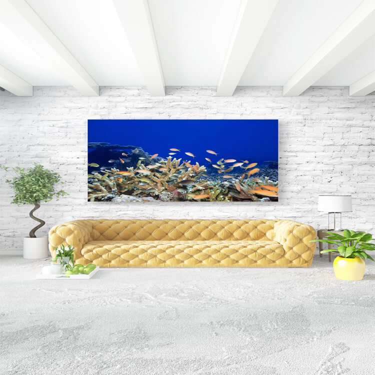 M3 0009 M Mockups 0014 259879 underwater landscape AOAY1117