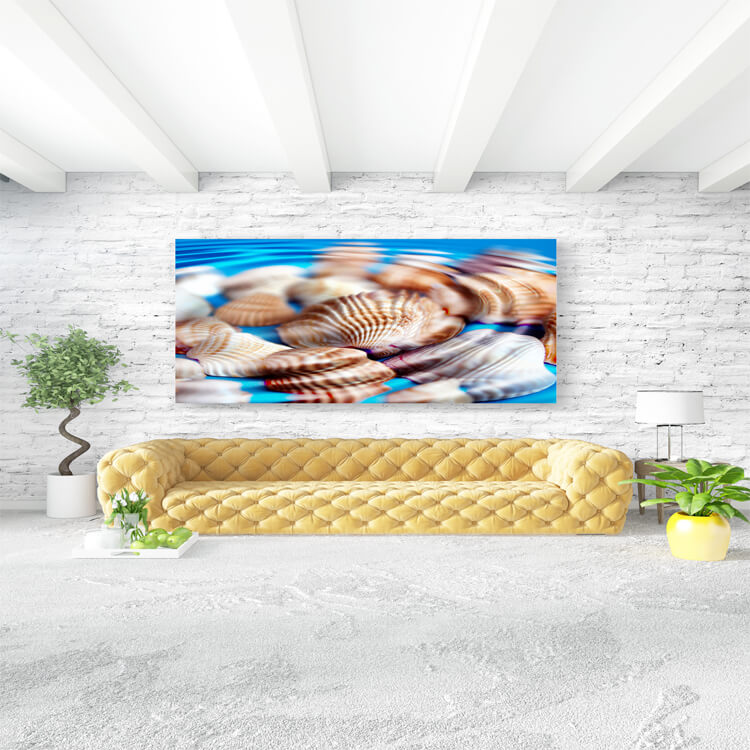 M3 0011 M Mockups 0012 965213 underwater shells AOAY1119