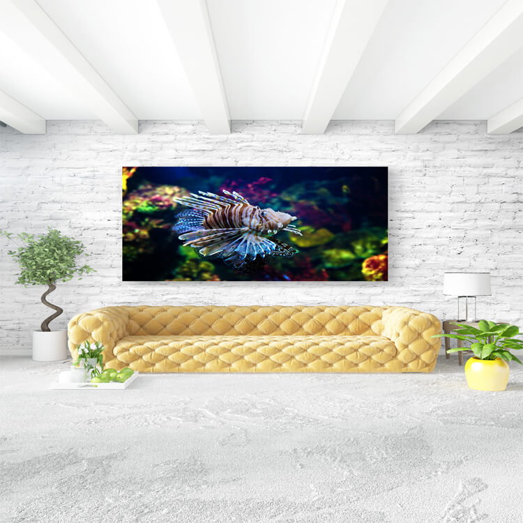 M3 0016 M Mockups 0039 4879050 underwater view fish coral reef AOAY1136