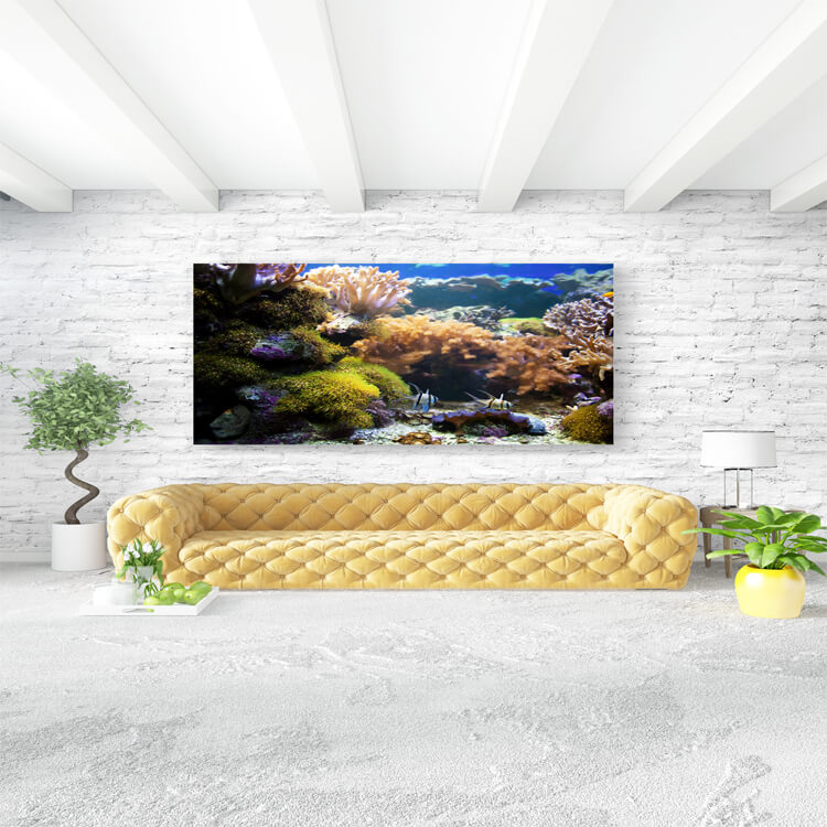 M3 0017 M Mockups 0040 4878852 underwater life coral reef fish AOAY1135