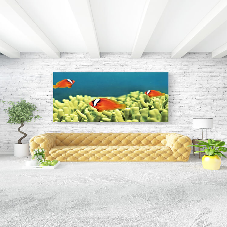 M3 0020 M Mockups 0002 4738254 the underwater world of fish and plants AOAY1132