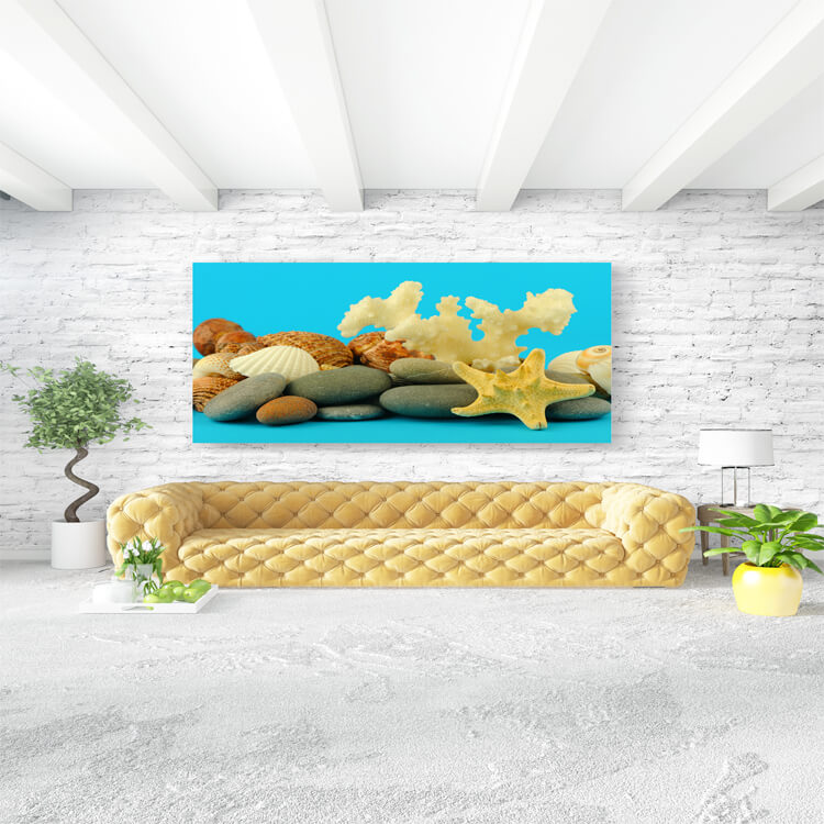 M3 0022 M Mockups 0004 2128873 starfish and set of objects of the sea underwater world AOAY1128