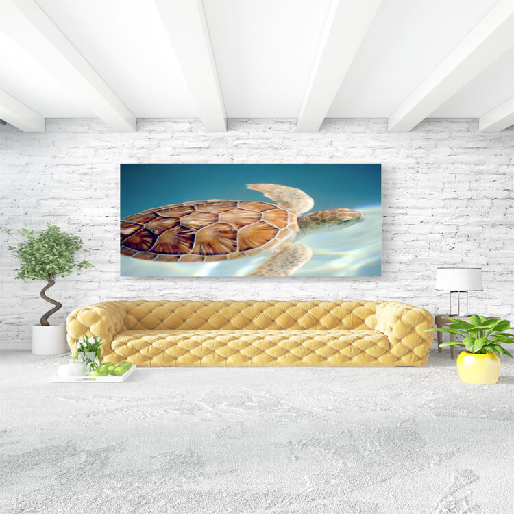 M3 0026 M Mockups 0038 4939796 carey turtle motion blur swuimming underwater AOAY1137