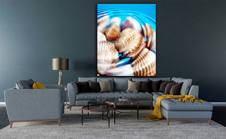 M4 0038 Print Panormic 0038 1567155 underwater shells AOAY1330