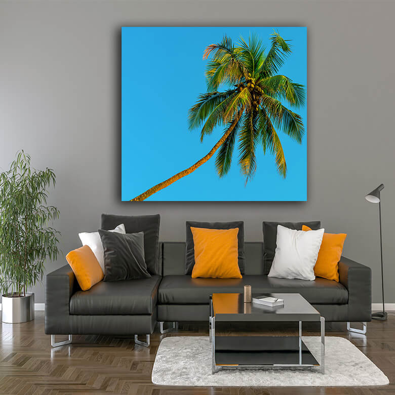 M4 Mockups 0008 Mockup Portriate 0022 PRINT Panoramic 0026 15834970 horizontal shot green coconut palms and blue sky AOA
