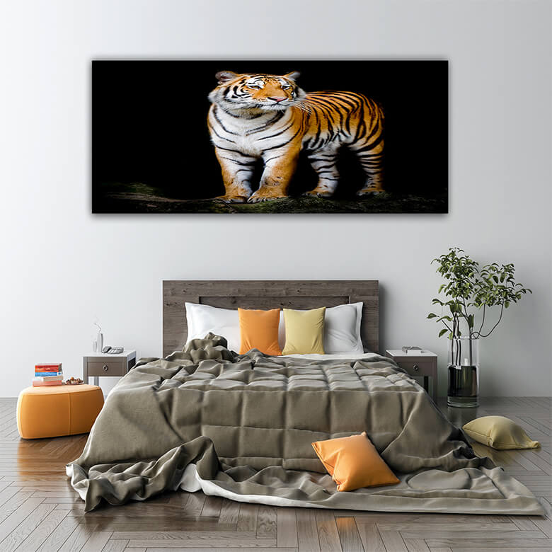 M5 Mockups 0007 Mockup 0003 15843538 bengal tiger AOAY1202